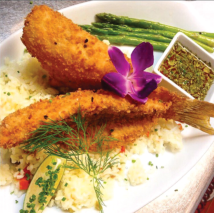 SquareGrouperB&G_Hogfish