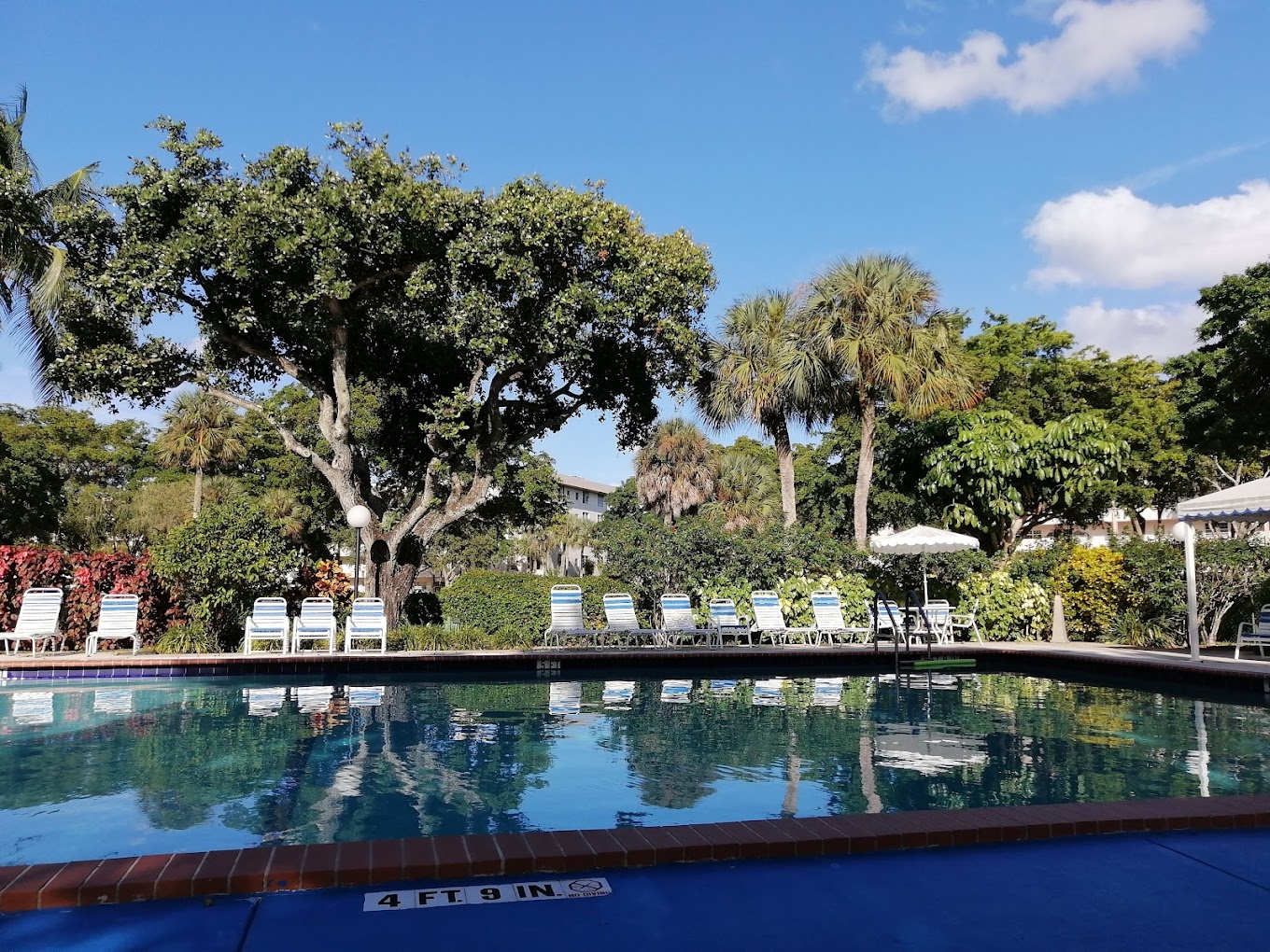 PalmAireClubOak&CypressCourse1