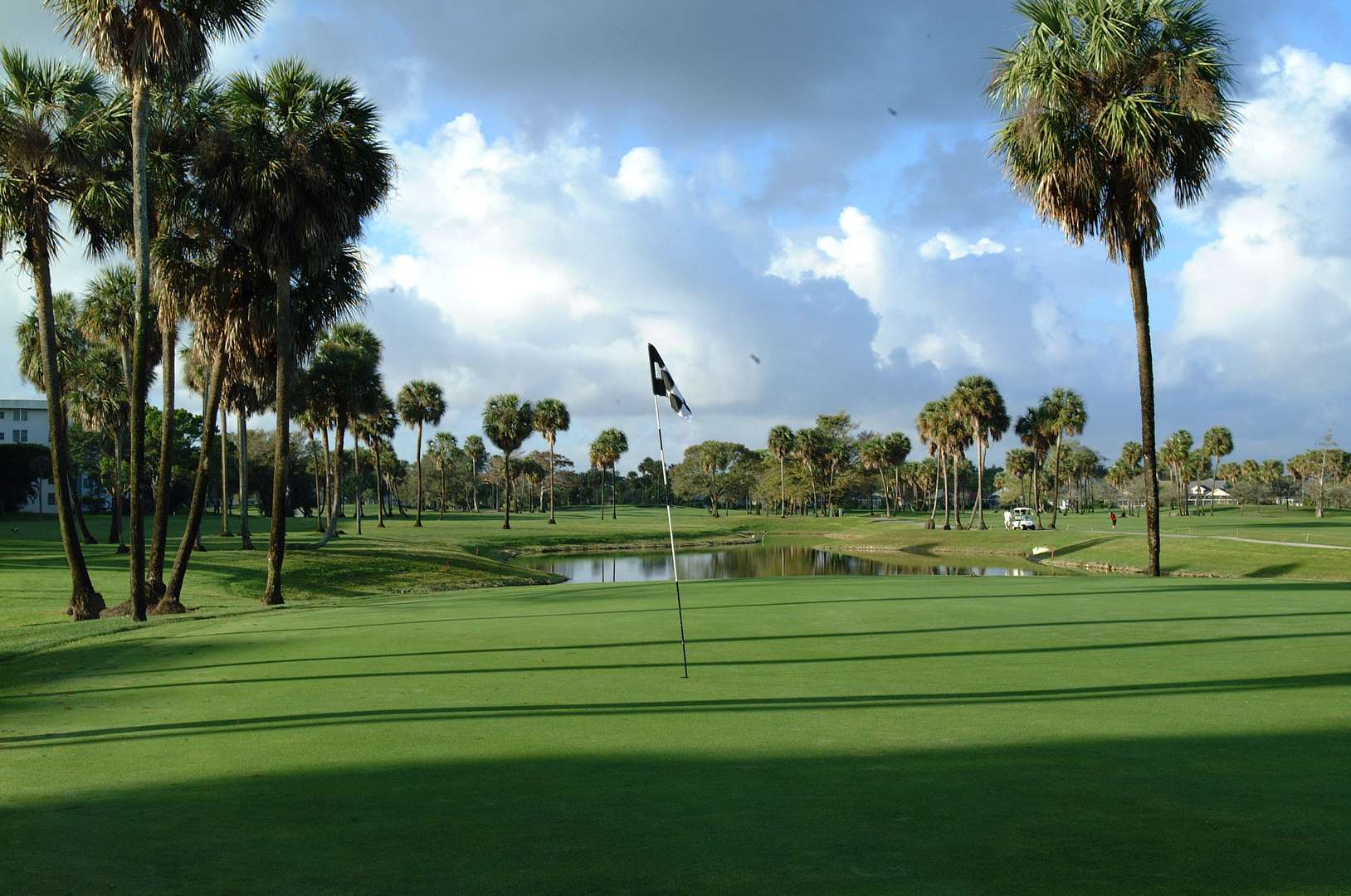 PalmAireClubPalmsCourse