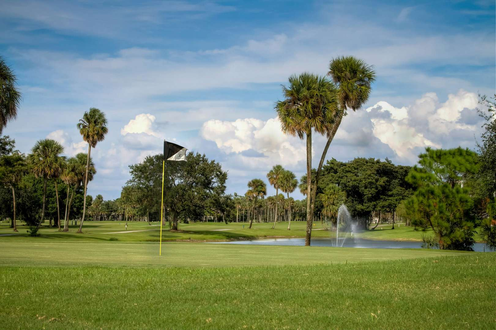 PalmAireClubPalmsCourse1