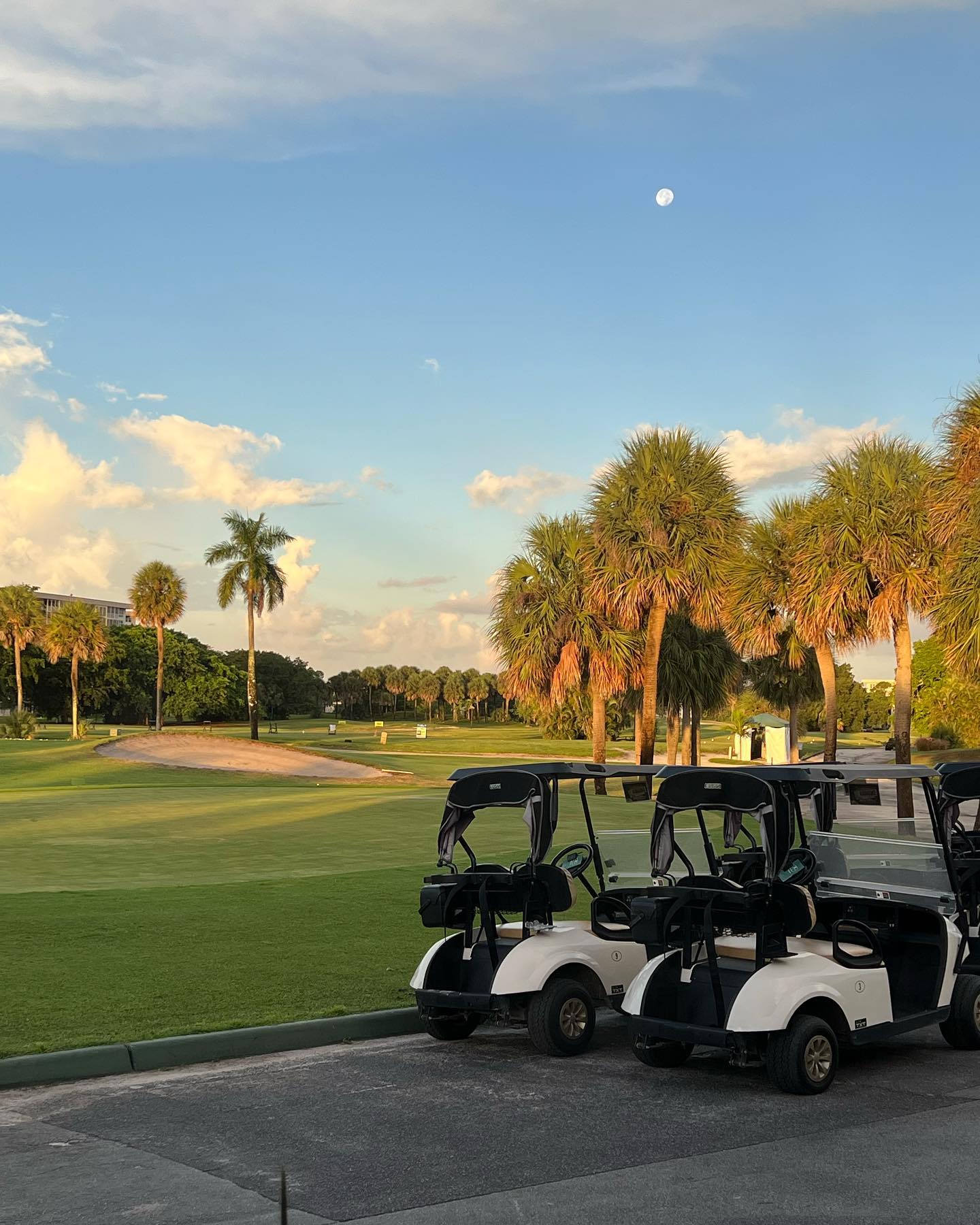 PalmAireClubPalmsCourse3