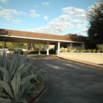 PalmAireClubPalmsCourse7