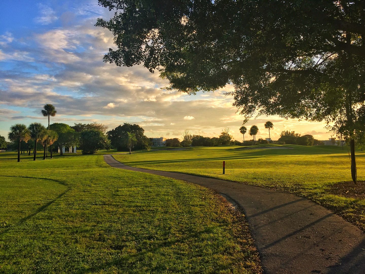 PalmAireClubPalmsCourse8