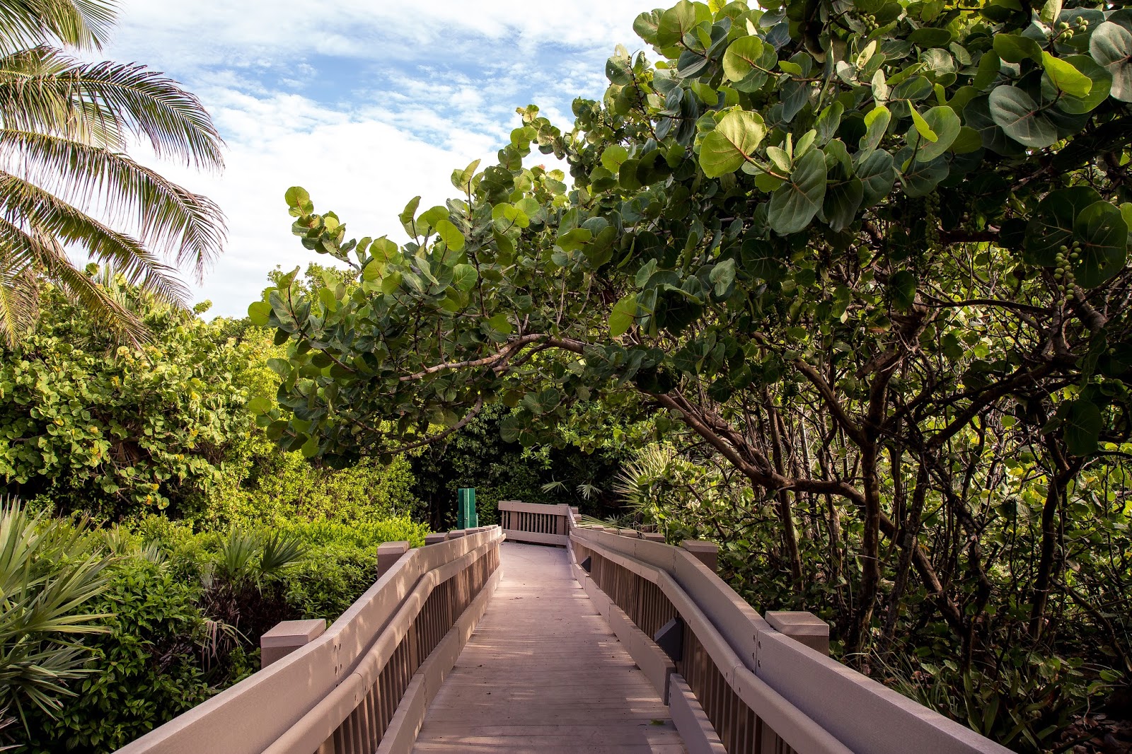 RedReefParkExecutiveGolfCourse6