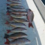 140296774_118035703516790_3826794582866066911_n