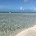 15921658680189-af156475-aa9a-48c1-8a26-eb0e25f36d5d