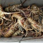 296170454_448248983828792_3082372752529291639_n