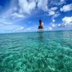 298363950_493883689407486_6275483424527729012_n