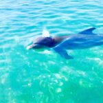 503848DA-DBD3-4091-A508-110FDD2E1377