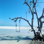 7338E017-4E7E-44D1-AF33-1BF5ADE6DBC2