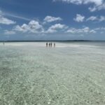 74D919E4-5587-4283-86DC-FA28D8D1CE0C