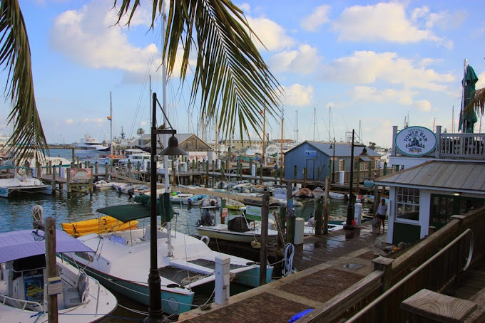 Key West Marina[5]