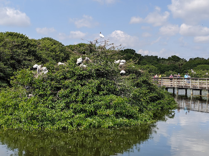 PXL_20210411_155029900.NIGHT