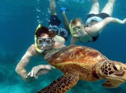 Snorkling-v-Egipte-405x300