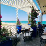 South Florida's Best Food Tours Beachview