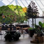 TownCenteratBocaRaton