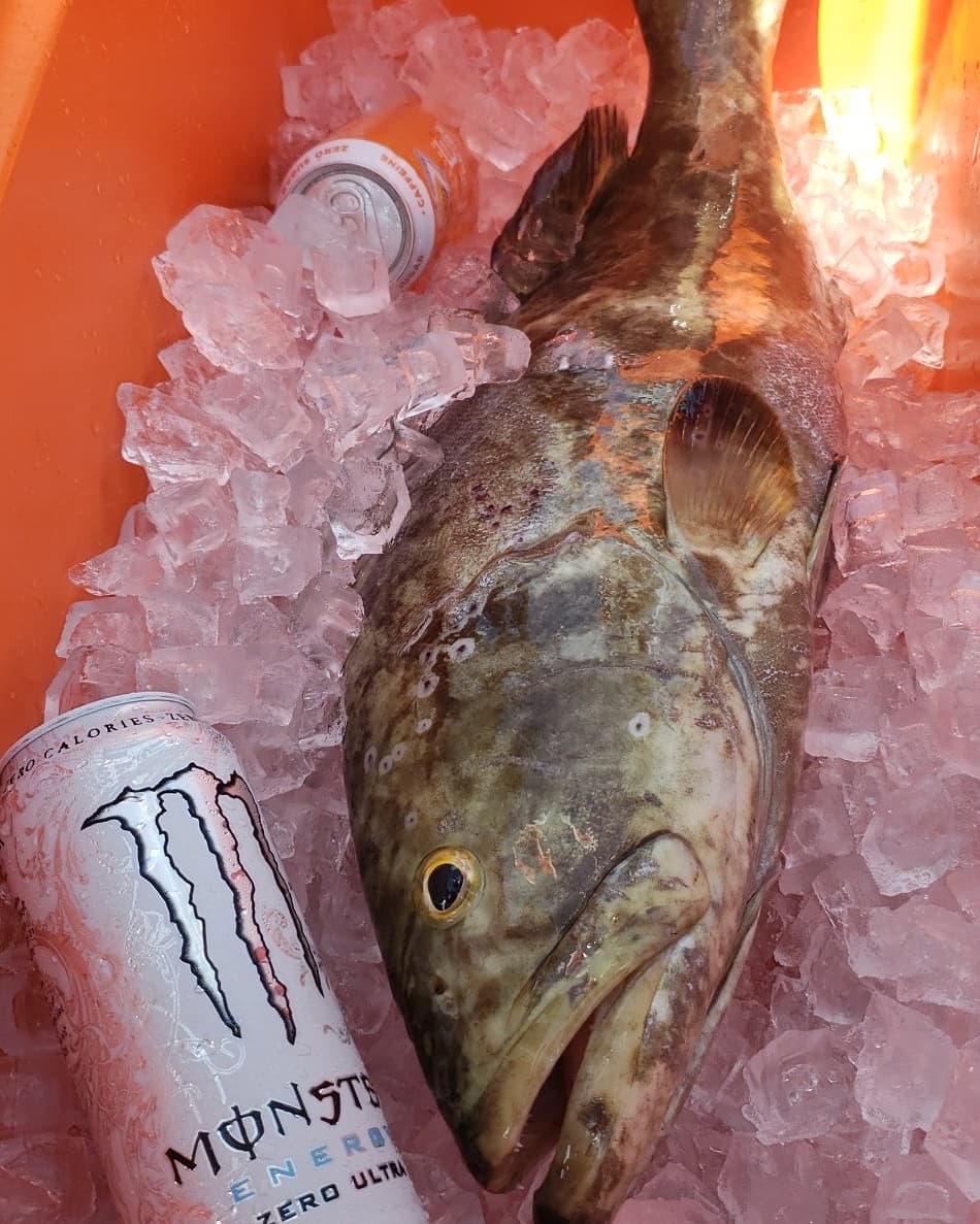 group-charter-photo-keywest