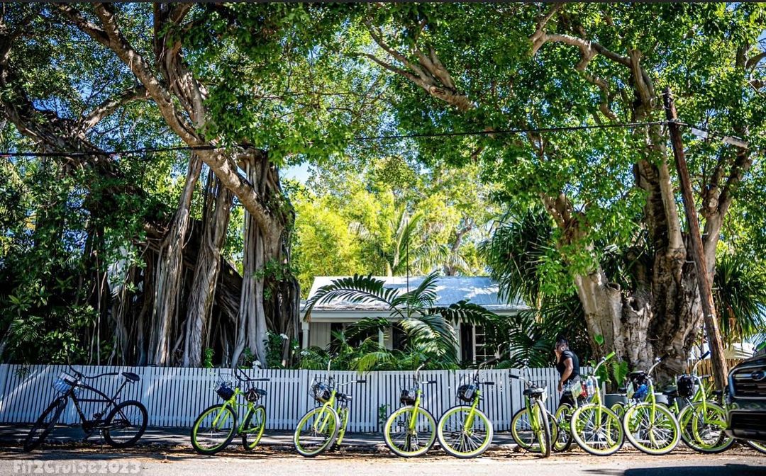 jaki4_312710790_2251191045042037_8113756455943571615_n