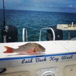 laidbackkeywest_240802015_364909515277102_5499571737145095159_n