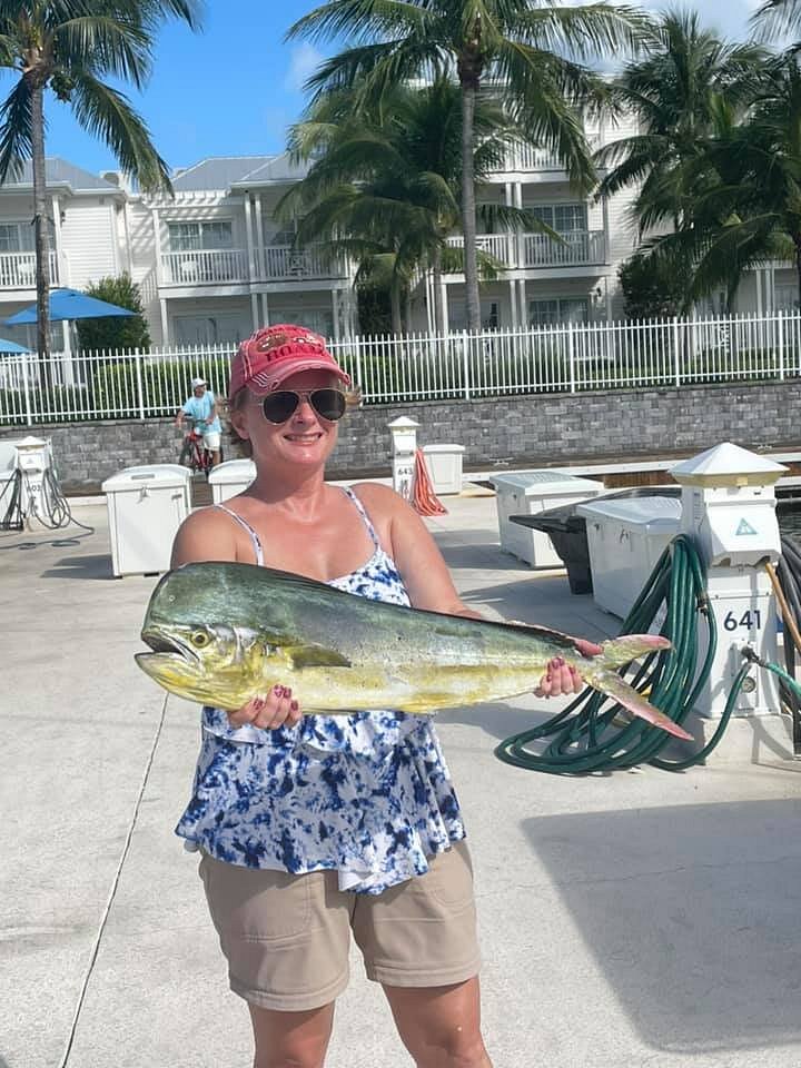 mahi-mahi