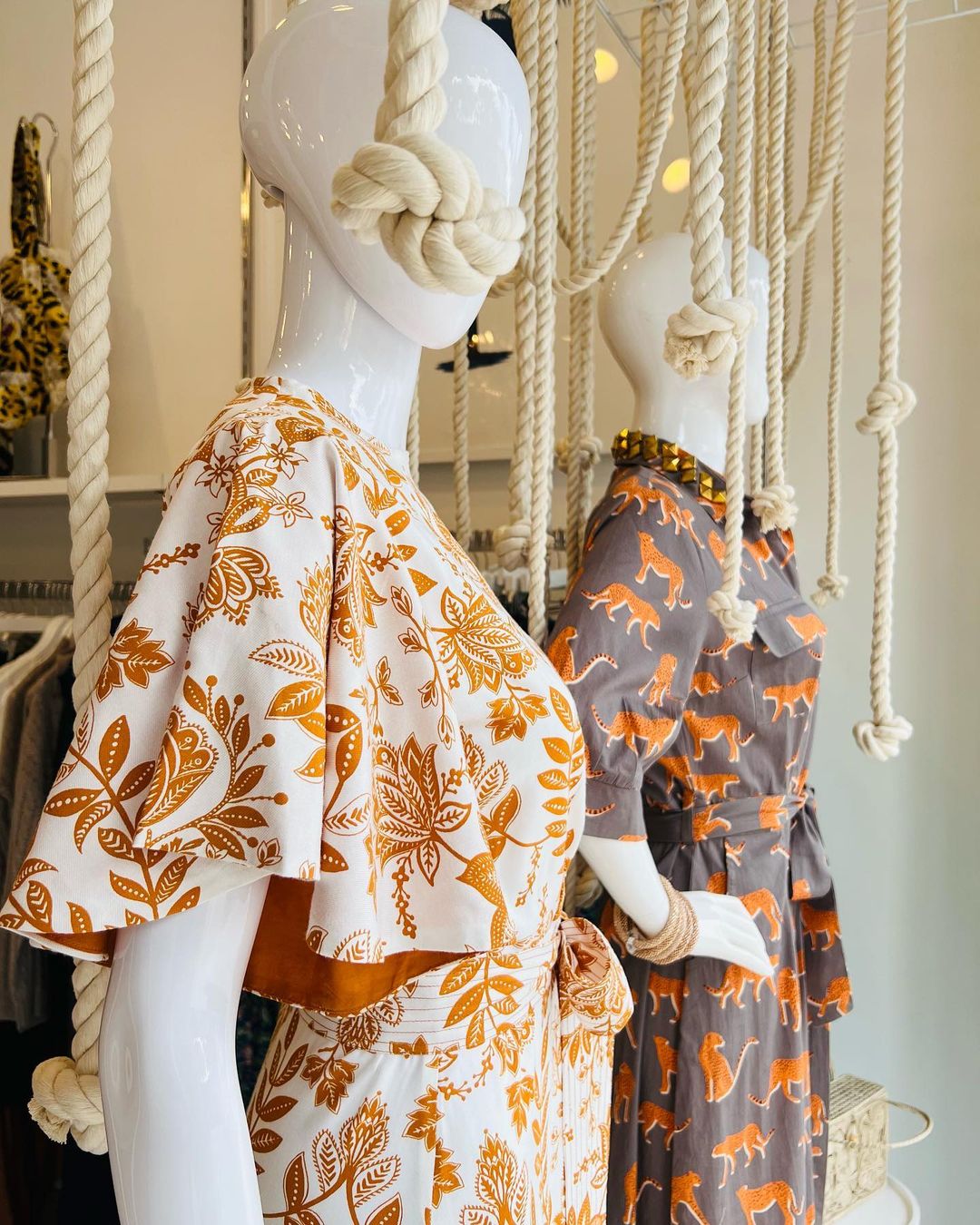 periwinklepics_302305143_389846156447838_3104261316440088613_n