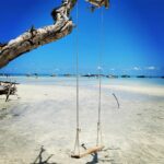 rentalboat_kw_290200287_1390588354773518_4650366085991945977_n