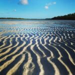 rentalboat_kw_290824574_405613031530183_2754686866015996195_n