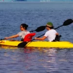 rs=w_365,h_365,cg_true,m