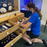 sandowaydiscovery_242181316_551900112738586_1802368606383193002_n