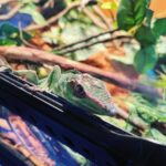 sandowaydiscovery_290570992_3287234171511471_4161741012261741339_n