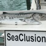 sea-clusion-charter-sport