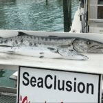 sea-clusion-charter-sport