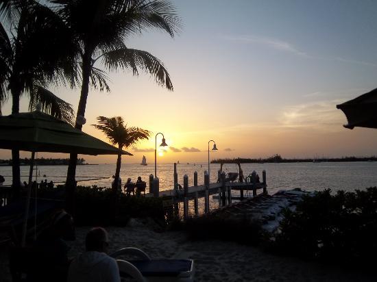 the-sunset-tiki-bar-grille