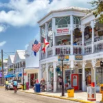 convert_32696b76-953d-458c-bd85-3d606a4844c2_1024x1024@2x