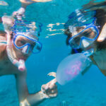 couple-snorkeling-underwater-with-fishes-and-jelly-FQK8HS7