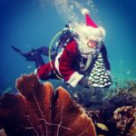 fishmonstermagazine_10864834_325278130990015_1426176313_n