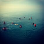 fishmonstermagazine_11250238_1050984211596601_747775966_n