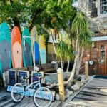 island_jane_313426598_5423232244471816_7465700295469896609_n