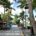 island_jane_82527216_613863722775809_6607341447842668430_n