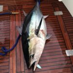 saltluxurymiami_120816042_2751231128525318_1708523287485892741_n