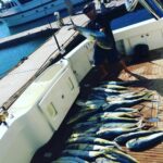 saltluxurymiami_122276702_2765315760453944_3226008684236374022_n