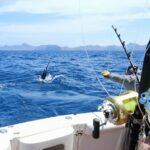sportfishing-off-boat-catching-fish