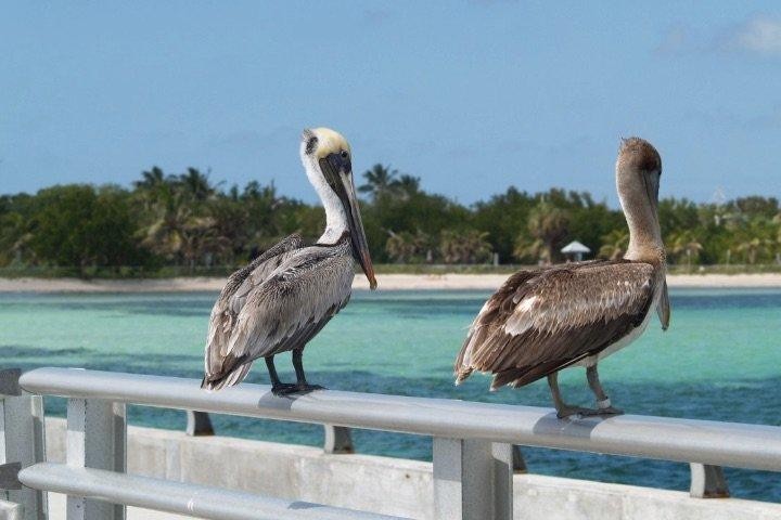 what-to-see-in-key-west-in-one-day