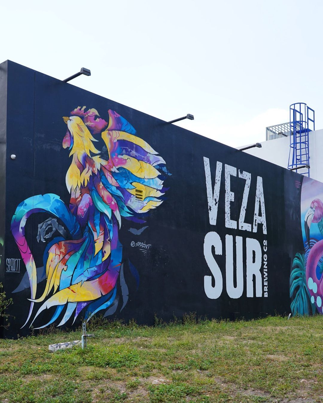 wynwoodbuggies_315000577_1361767287898771_590960765938121761_n