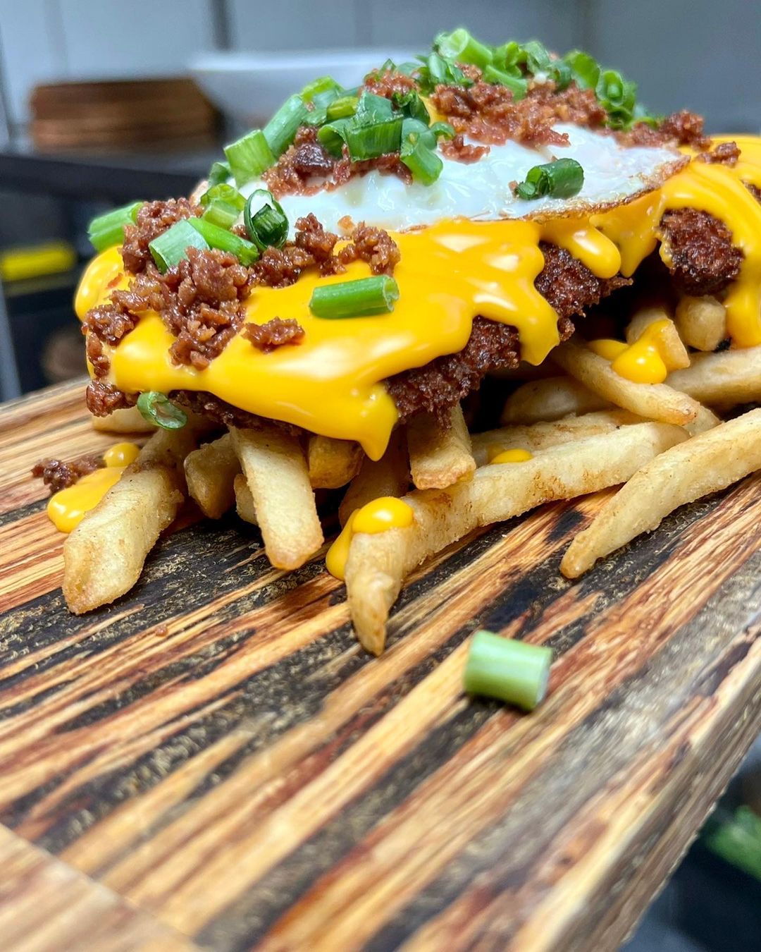 bocas_house_327437701_608381681116864_4818421559447941183_n