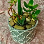 flowersbyjudith2327_109011515_1189377818063852_7467174328521982120_n