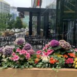 flowersbyjudith2327_285510151_4978692178852262_9100381786375216201_n