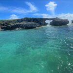 358440409_244161261704544_164174688593391469_n