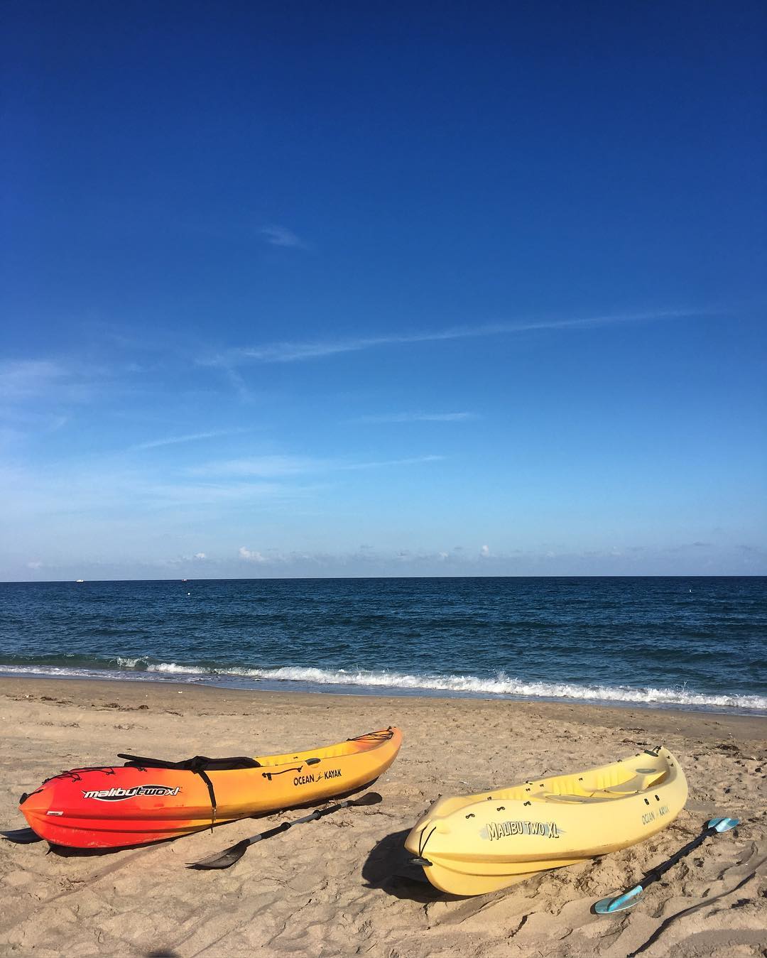 delraybeachwatersports_27892402_493767821017363_3890916332073385984_n