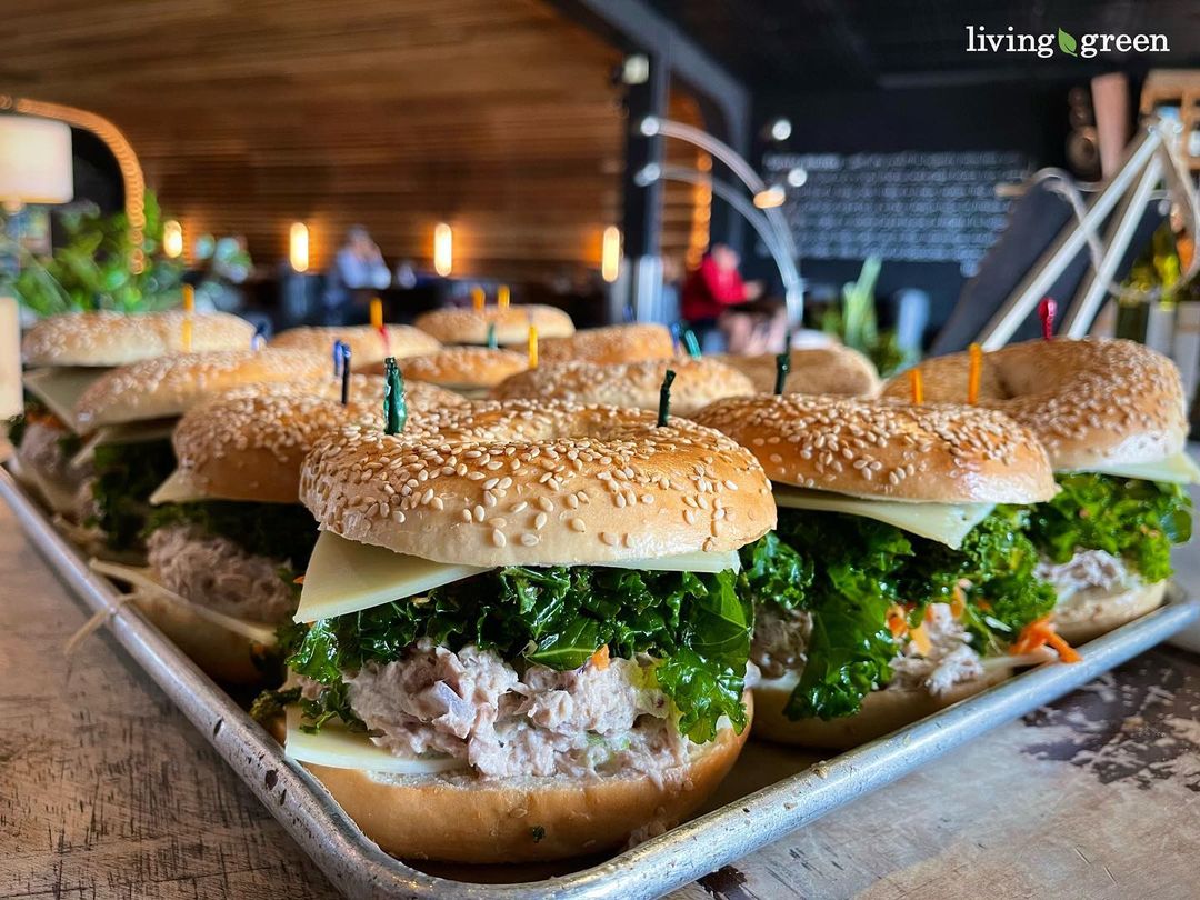 livinggreenfm_343203793_942214910429159_5666553868927379691_n